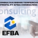 Jasa Konsultan Bisnis Terpercaya 2026: Profil PT. Efba Consulting