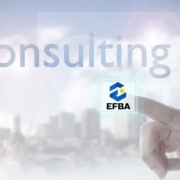 Jasa Konsultan Manajemen Bisnis Terbaik Efba Consulting