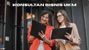 Konsultan Bisnis UKM
